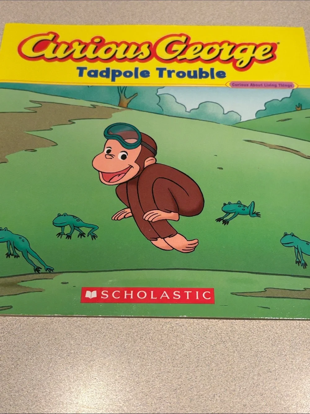 Lot of Scholastic Children’s Books (new condition)